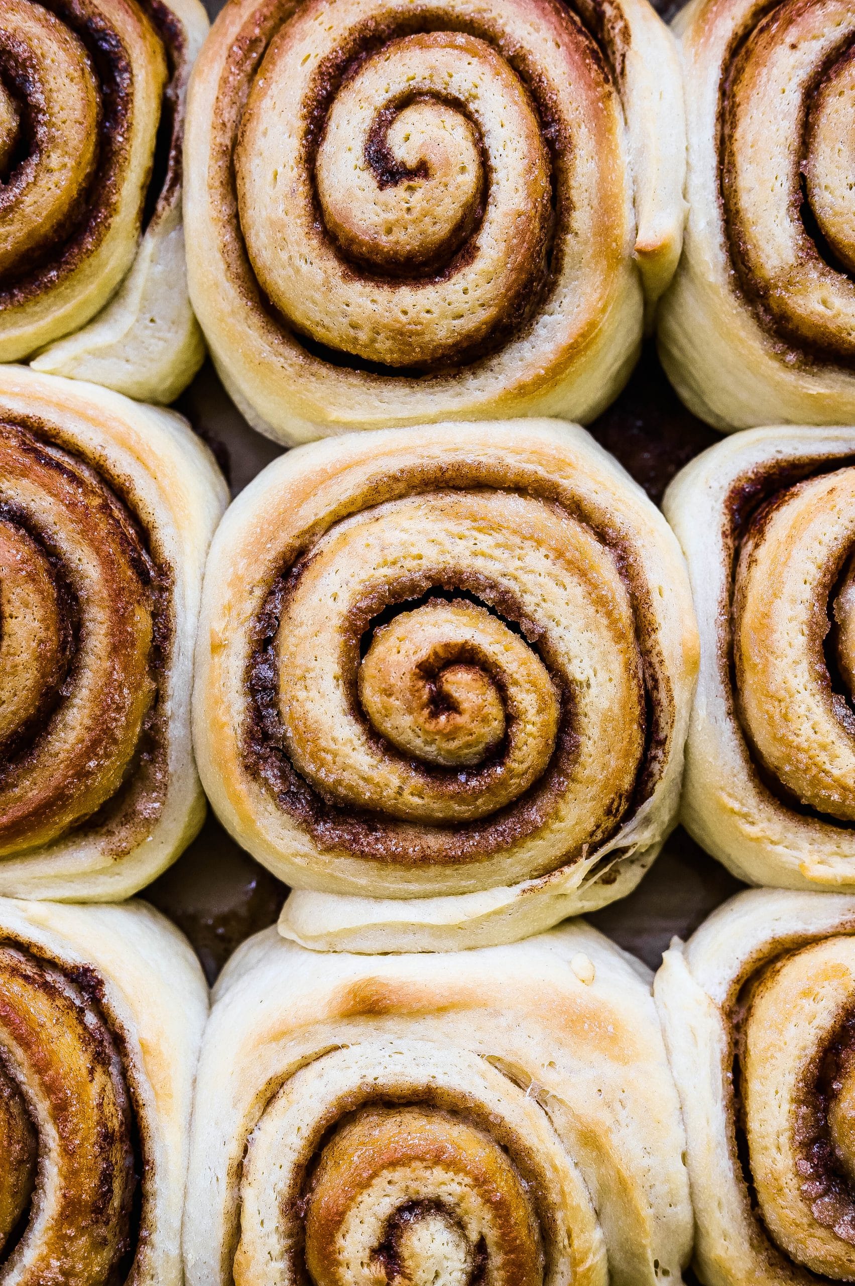 giant buttermilk cinnamon rolls