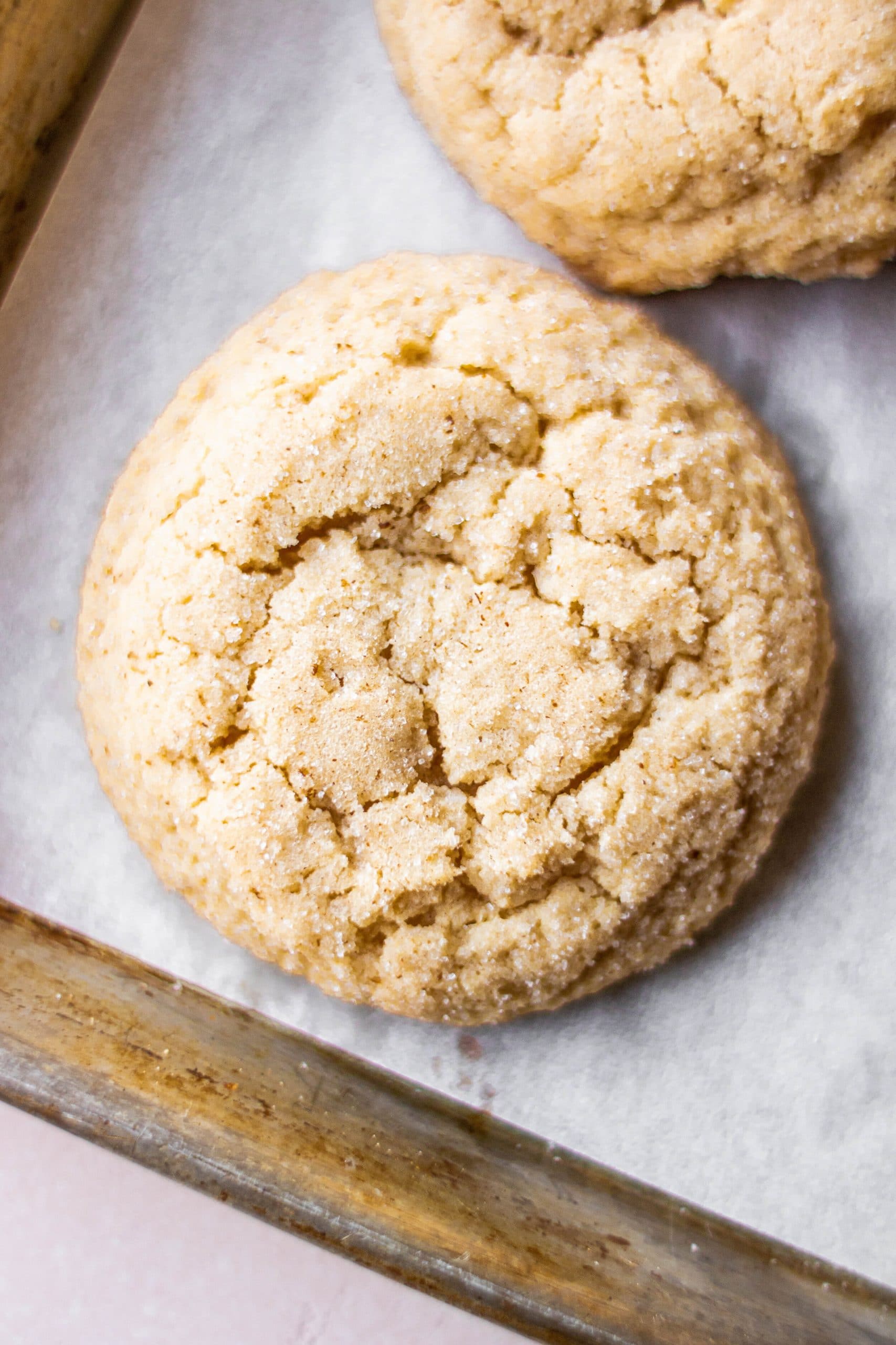 eggnog snickerdoodle cookies