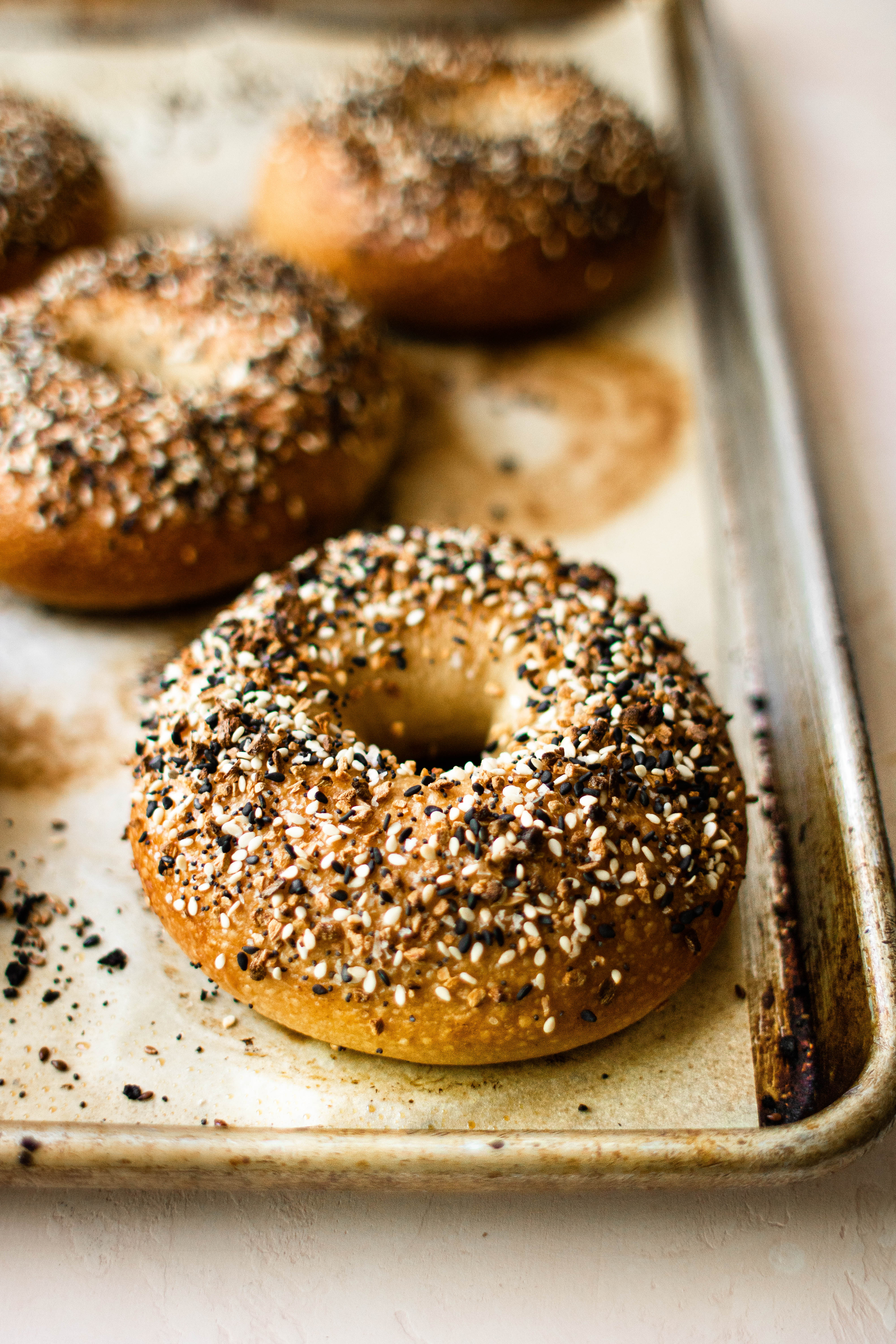 ny style bagels