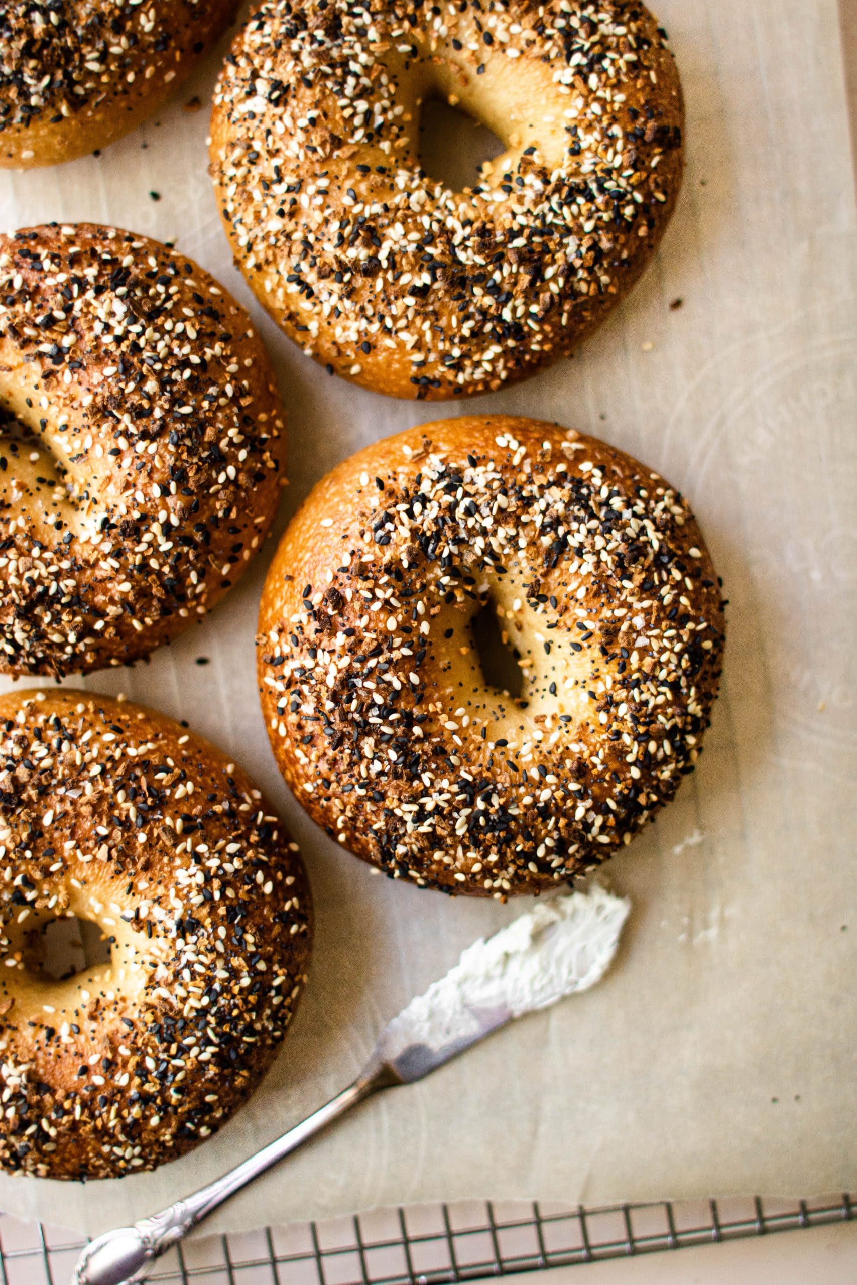 New York Chewy Bagels Food Processor Mixing Method