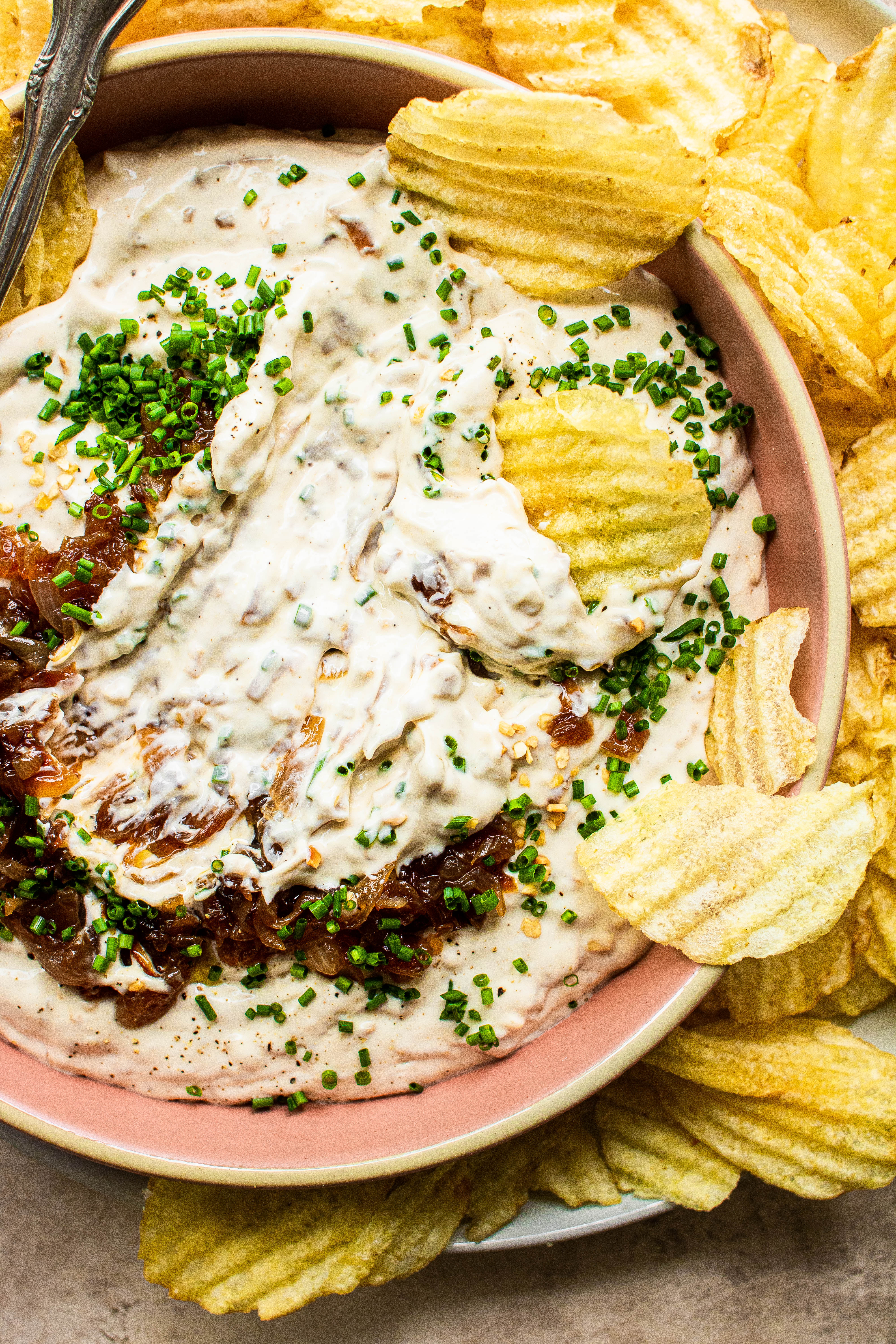 caramelized onion dip