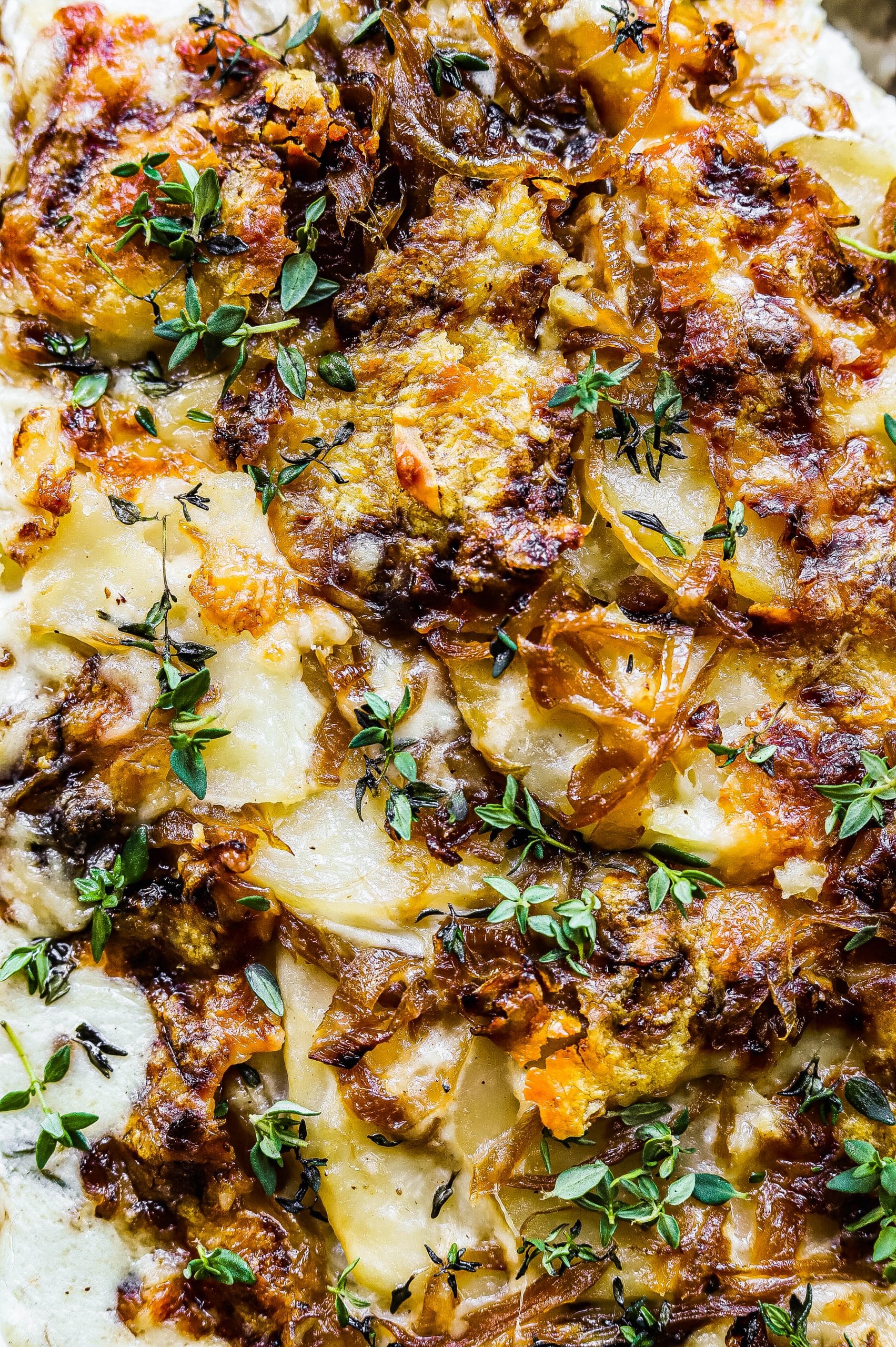 caramelized onion potatoes au gratin