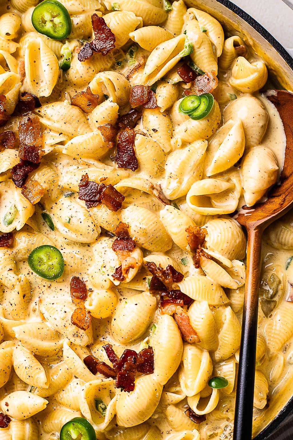 Bacon Shells and Cheese
