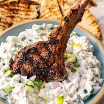 Ras el Hanout Lamb Chops