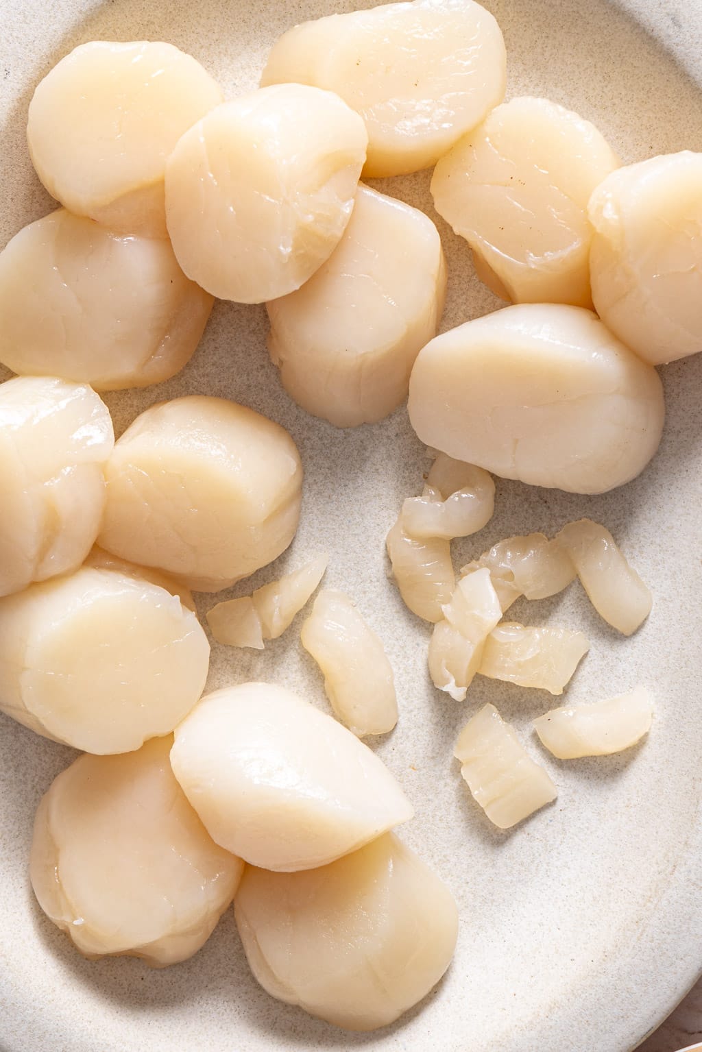 adductor muscle being removed from the scallops