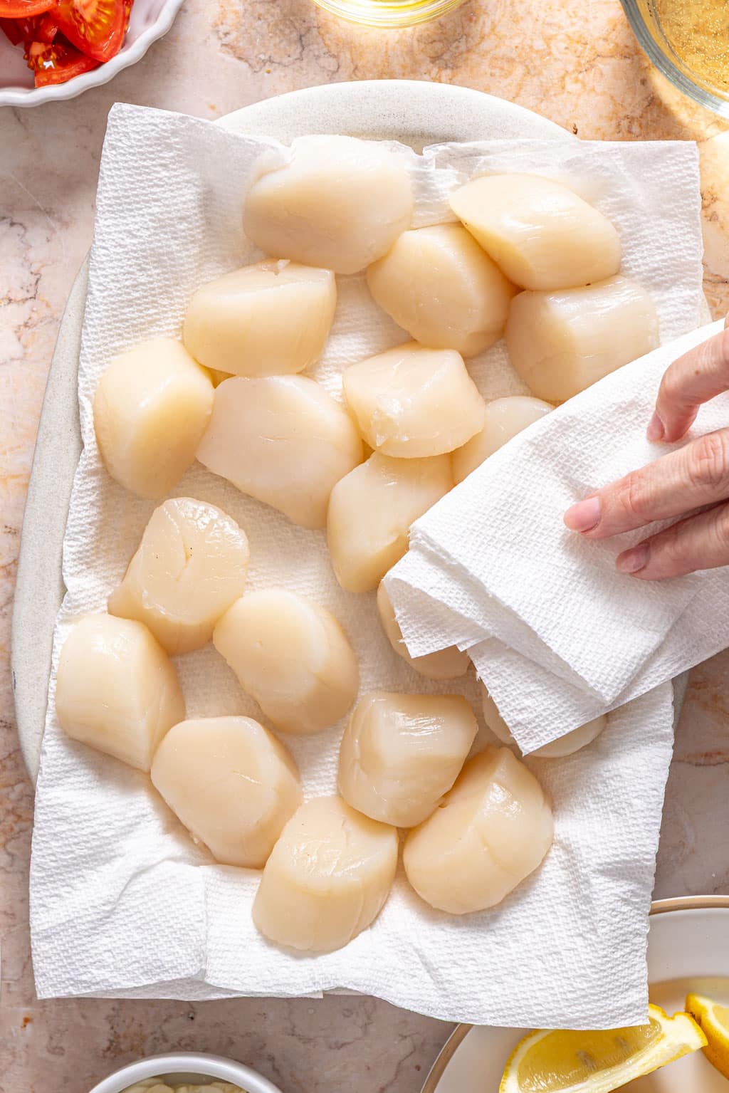 scallops being patted dry with paper towels