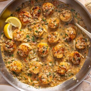 Scallops provencal