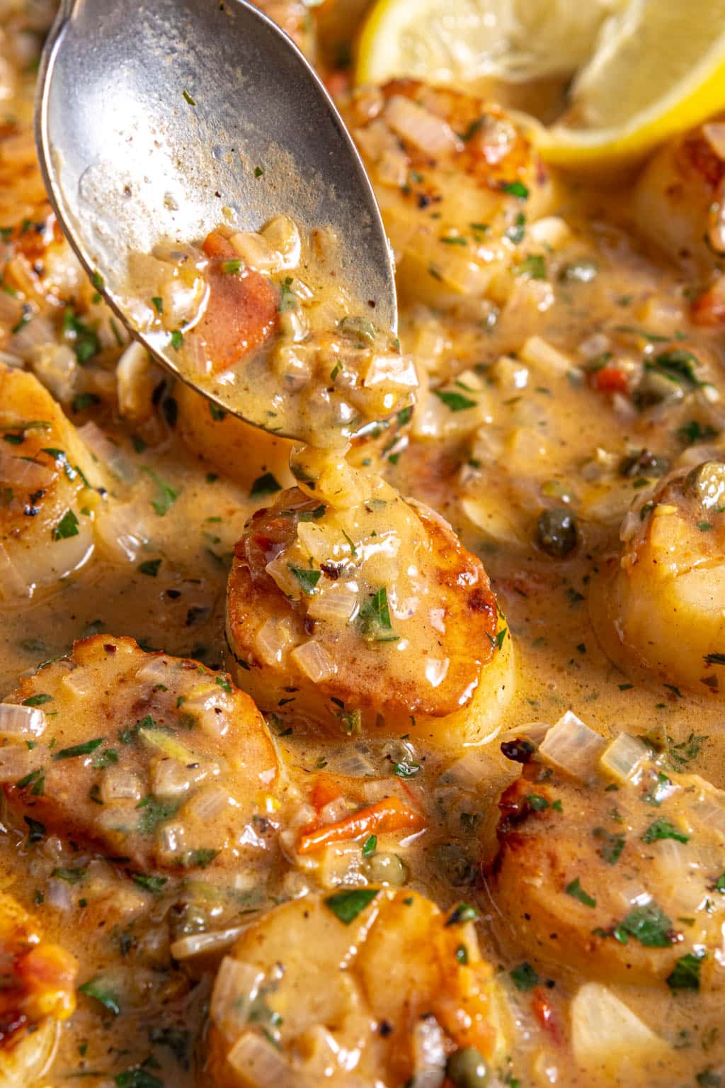 scallops provencal