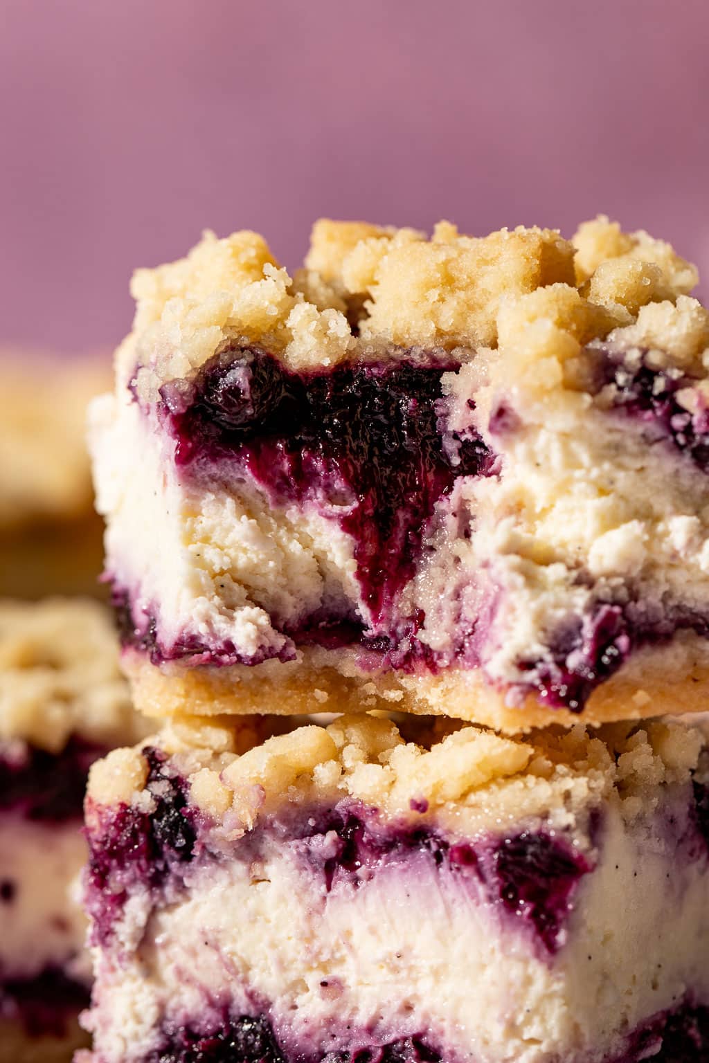 wild blueberry cheesecake bars
