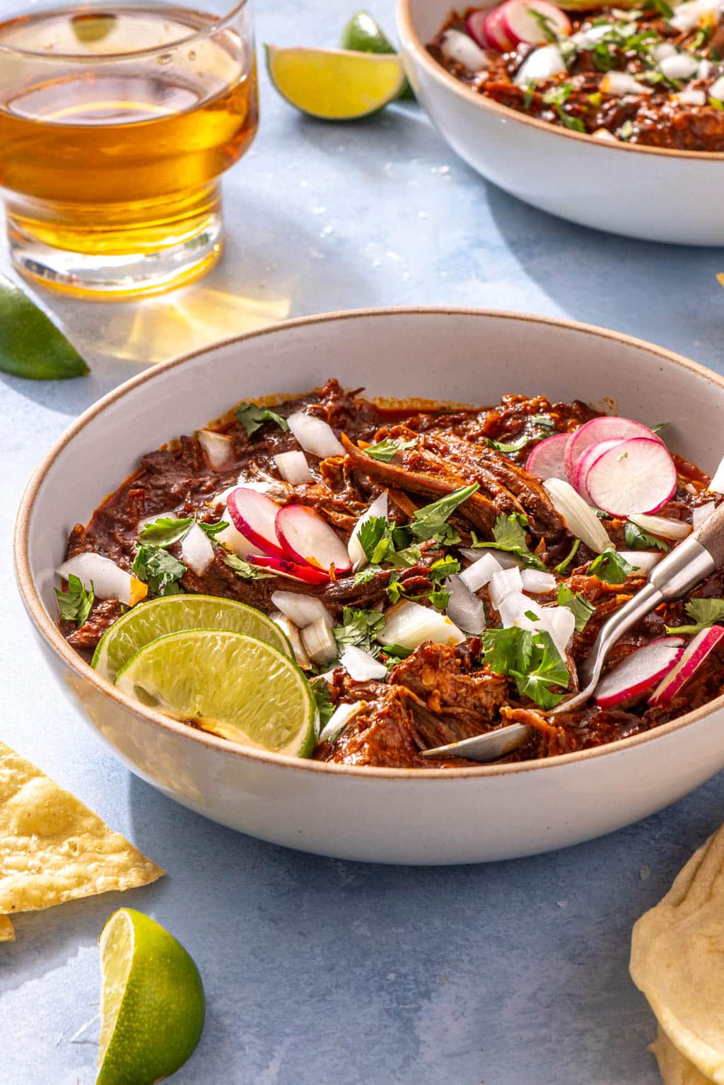 braised beef birria