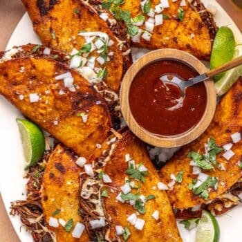 quesabirria tacos
