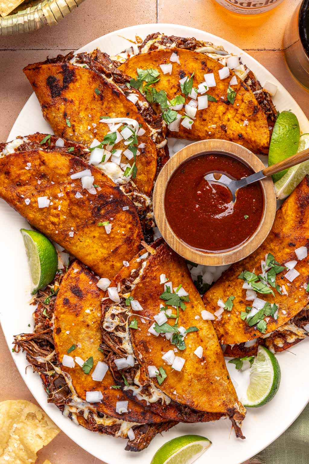 quesabirria tacos