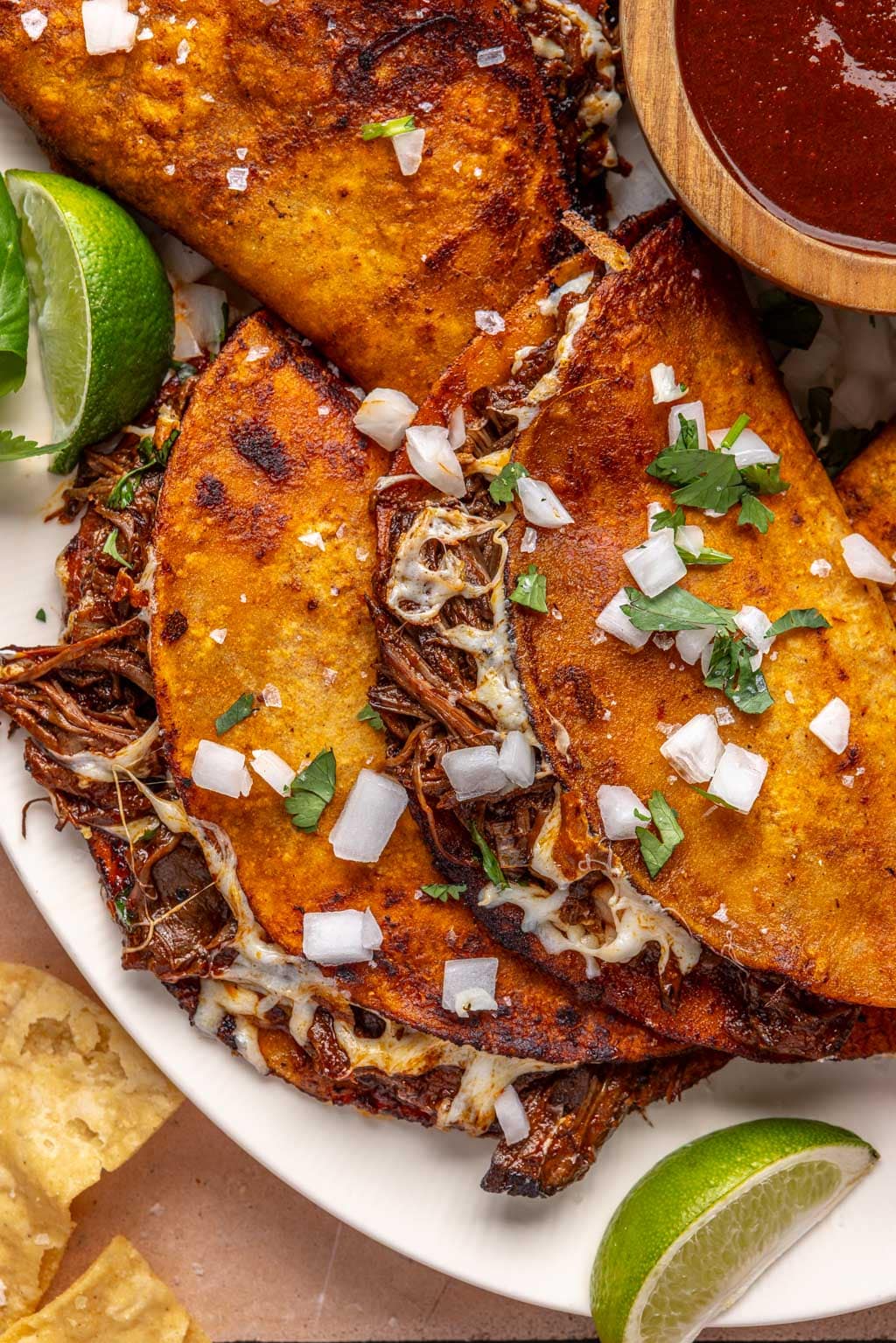 quesabirria tacos